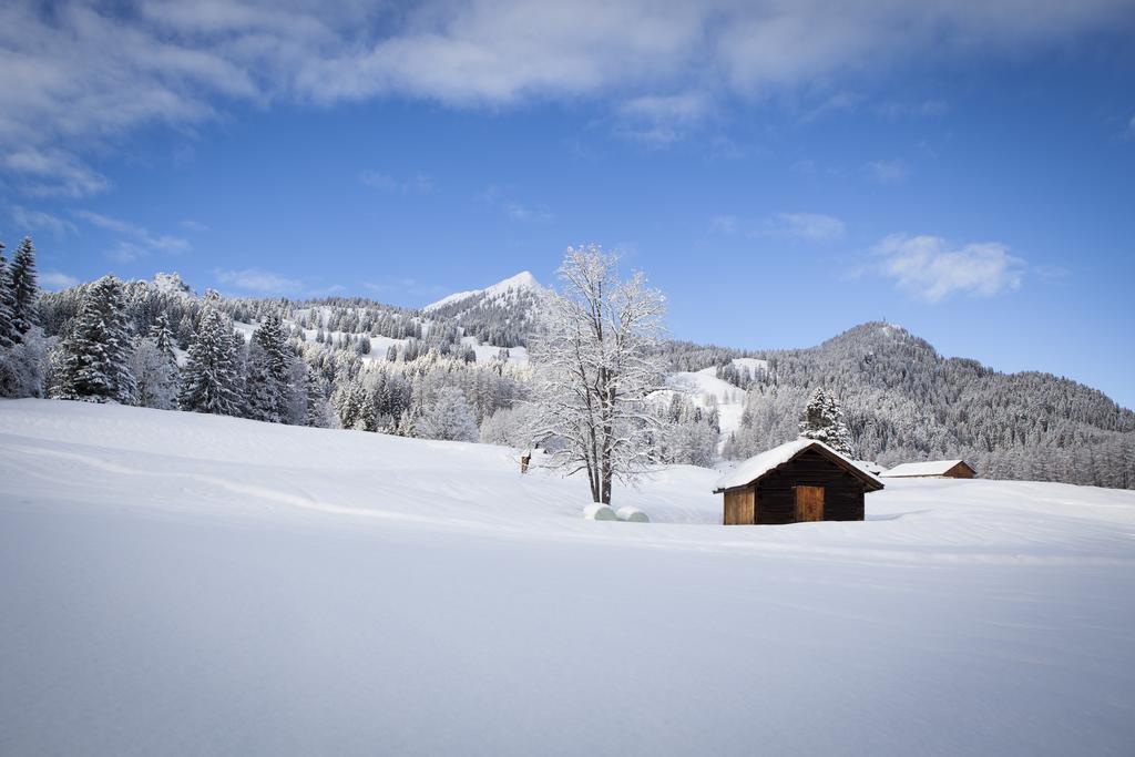 Rufana Lodge Бюрзерберг Экстерьер фото